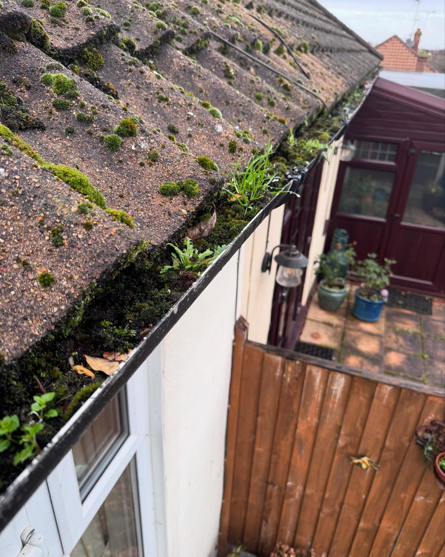 Gutter full of debris before cleaning